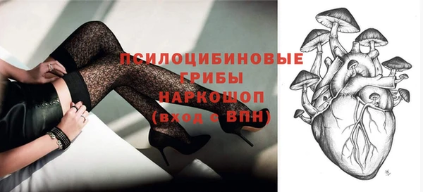 прущая мука Магас